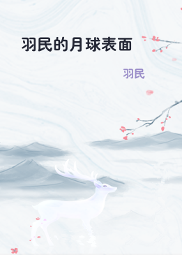 羽民的月球表面