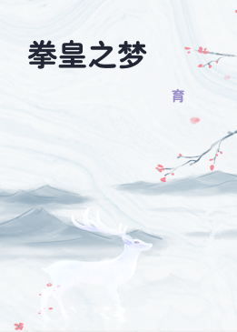 拳皇之梦