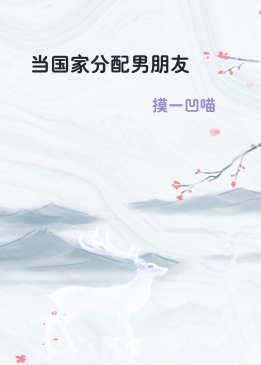 当国家分配男朋友