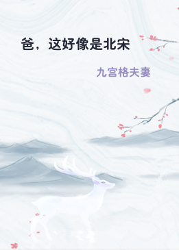 爸，这好像是北宋