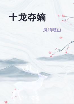 十龙夺嫡