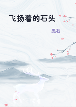 飞扬着的石头