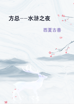 方总--水浒之夜