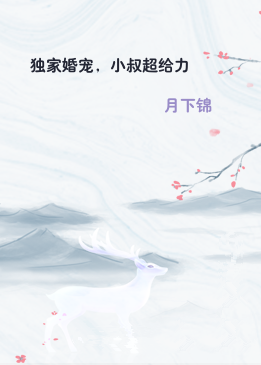 独家婚宠，小叔超给力