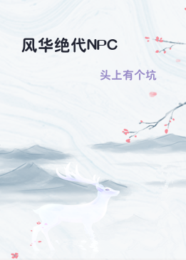 风华绝代NPC