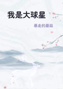 我是大球星