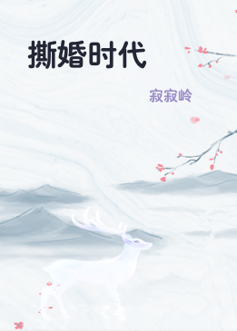 撕婚时代