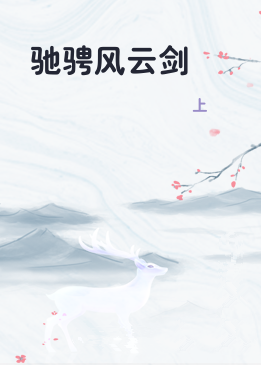 驰骋风云剑