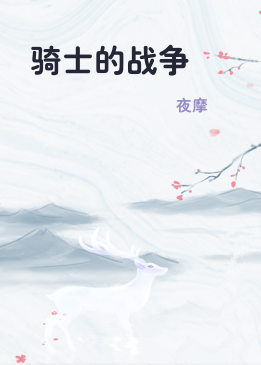 骑士的战争