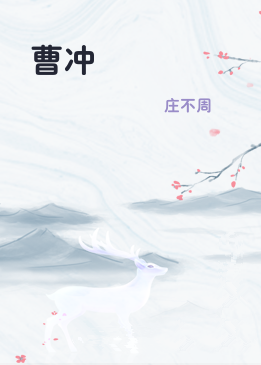 曹冲