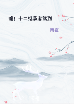 嘘！十二继承者驾到