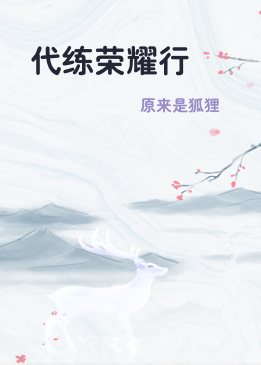 代练荣耀行