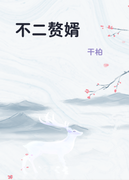 不二赘婿