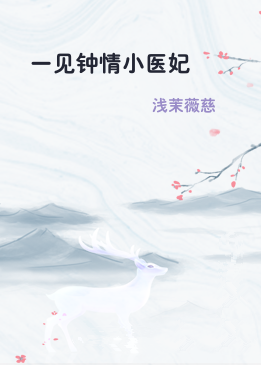 一见钟情小医妃