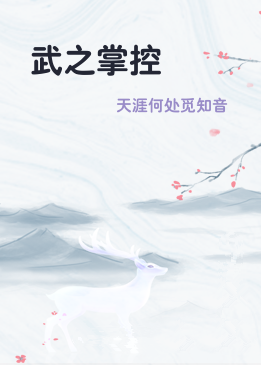武之掌控