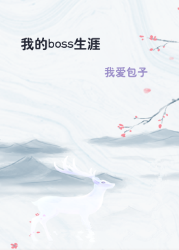 我的boss生涯