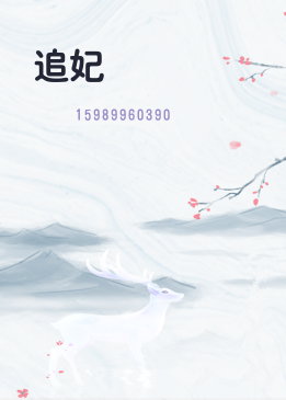 追妃