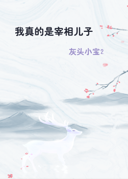 我真的是宰相儿子