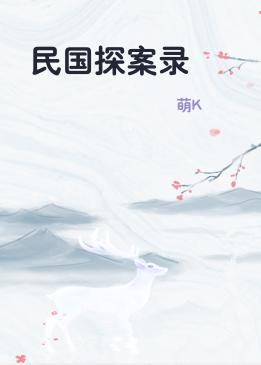 民国探案录