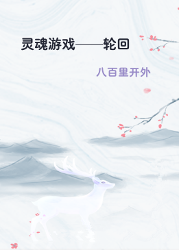灵魂游戏——轮回
