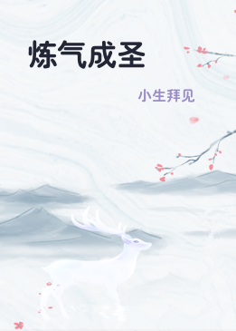 炼气成圣