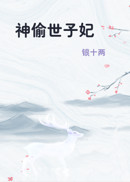 神偷世子妃
