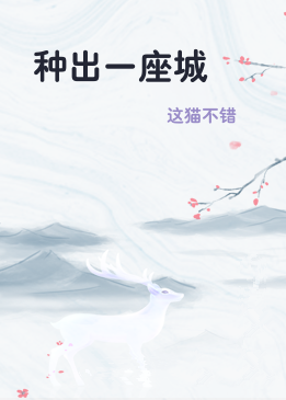 种出一座城