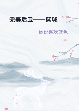 完美后卫——篮球