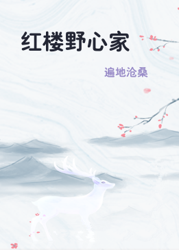 红楼野心家