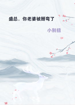盛总，你老婆被掰弯了