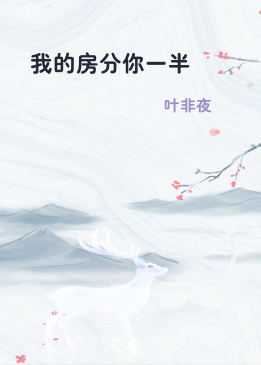 我的房分你一半
