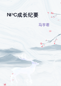 NPC成长纪要