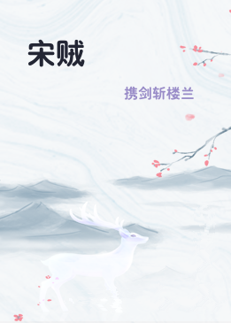 宋贼