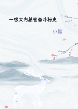 一级大内总管奋斗秘史