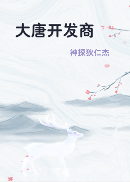 大唐开发商