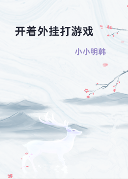 开着外挂打游戏