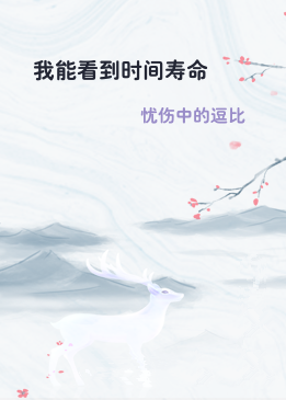 我能看到时间寿命