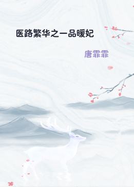 医路繁华之一品暖妃