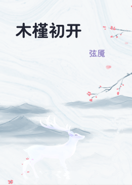 木槿初开