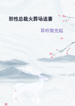 邪性总裁火葬场追妻