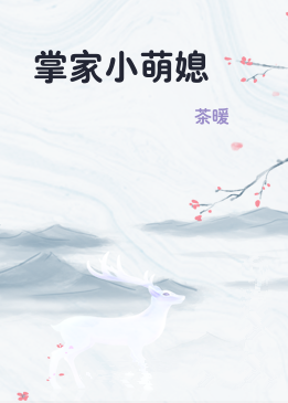 掌家小萌媳