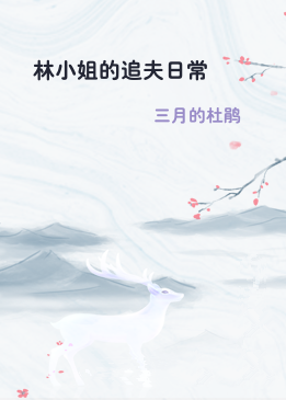 林小姐的追夫日常