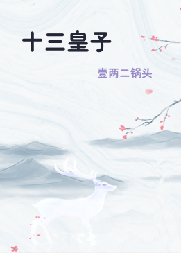 十三皇子