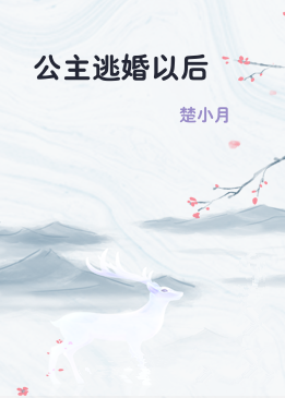 公主逃婚以后