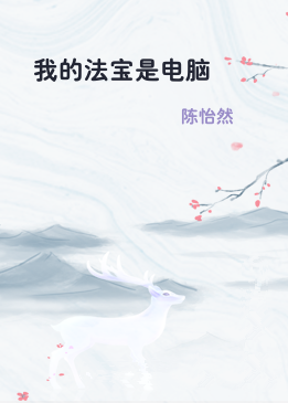 我的法宝是电脑