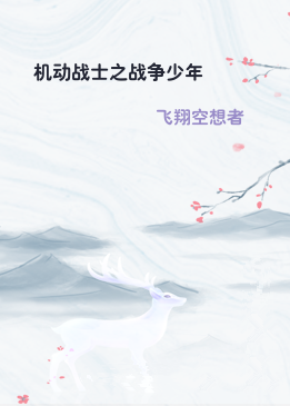 机动战士之战争少年