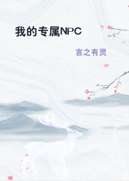 我的专属NPC