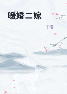 暖婚二嫁