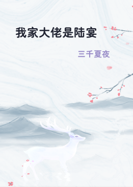我家大佬是陆宴