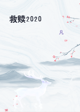 救赎2020